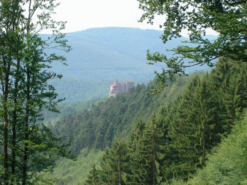 Hike: French-German Border Castles